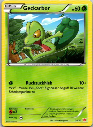 Geckarbor Exemplar 2,95 €