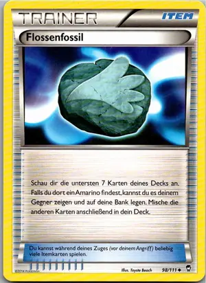 Flossenfossil Exemplar 1,45 €