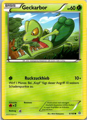 Geckarbor Exemplar 3,95 €