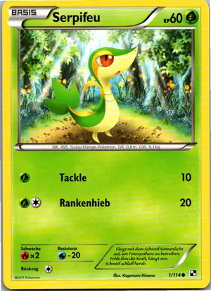 Pokémon-Karte Serpifeu 1/114 Schwarz & Weiß