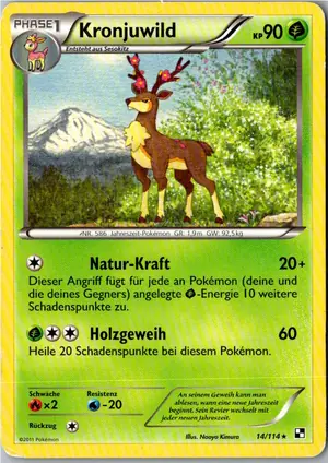 Pokémon-Karte Kronjuwild 14/114 Schwarz & Weiß