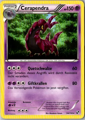 Cerapendra Exemplar 2,95 €