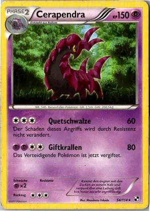 Cerapendra Exemplar 2,95 €