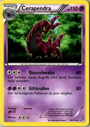 Cerapendra Exemplar 2,95 €