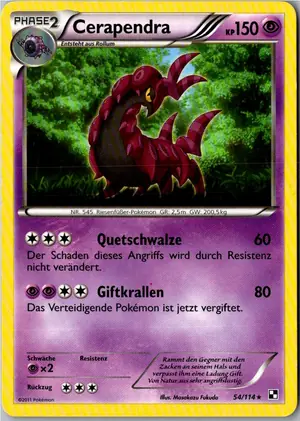 Cerapendra Exemplar 2,95 €