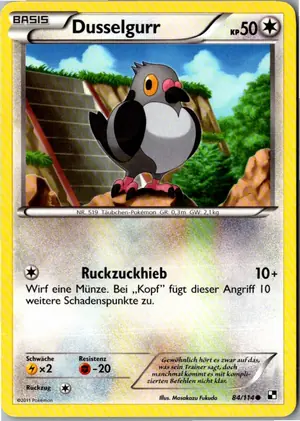 Dusselgurr Exemplar 2,95 €