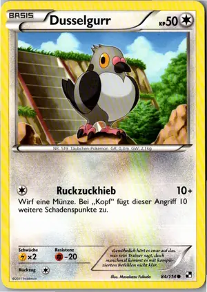 Dusselgurr Exemplar 2,95 €