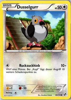 Dusselgurr Exemplar 2,95 €