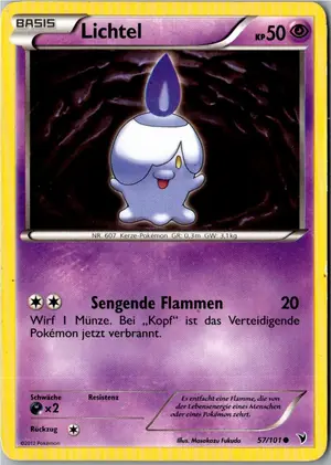 Lichtel Exemplar 1,95 €