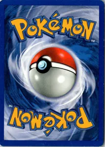 Brock's Onix 69/132 Gym Heroes – Rückseite