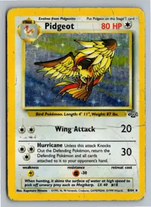 Pokémon-Karte Pidgeot Tauboss 8/64 Dschungel