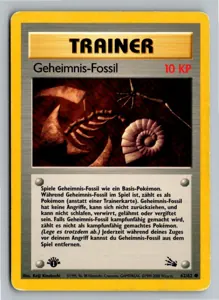 Geheimnis-Fossil Exemplar 3,95 €