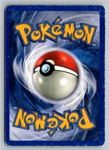 Brock's Geodude 66/132 Gym Heroes – Rückseite