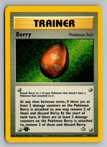 Berry Beere Exemplar 5,45 €