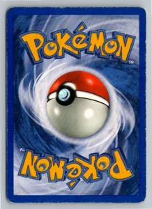 Ponita 64/82 Team Rocket – Rückseite