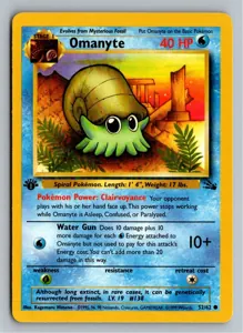 Omanyte Amonitas Exemplar 4,95 €